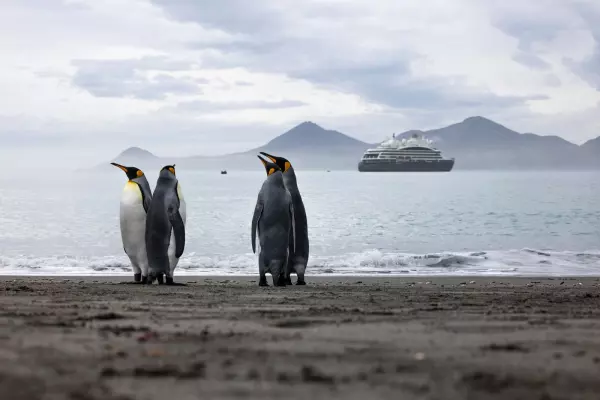 Le Commandant Charcot Pinguine Antarktis